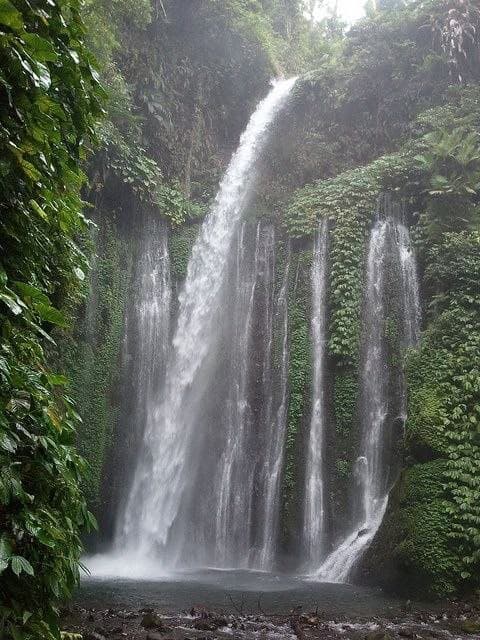 Tur Air Terjun (Senaru)