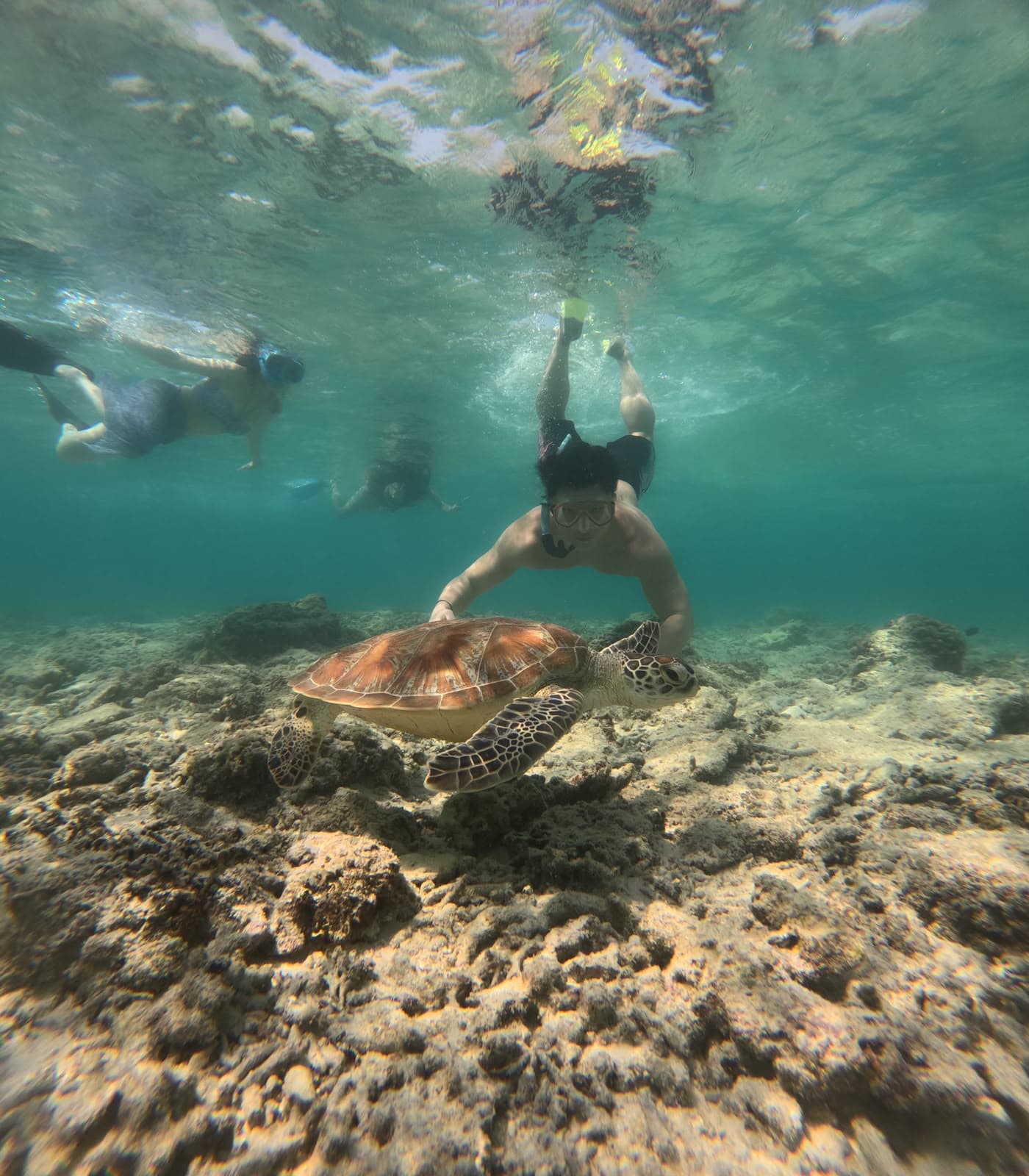 Snorkeling Privat Selama 6 Jam